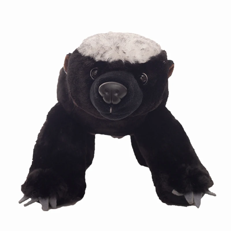 40/50 см африканская игрушка Ratel мягкая плюшевая дикий медовый Барсук храбрые