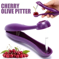 fruit kitchen pitter remover olive corer remove pit tool seed gadge fruit and vegetable tools pitter