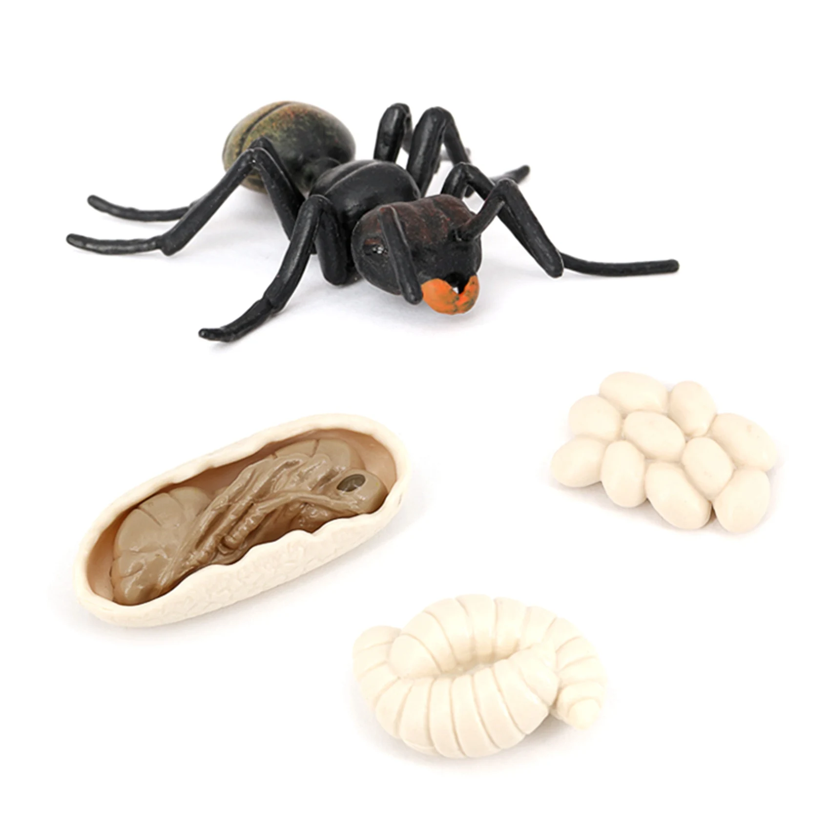 

Моделирование муравьев, животных, жизненный цикл, цикл роста насекомых, модель, жизнь, фигурки, Развивающие детские игрушки, черные муравьи
