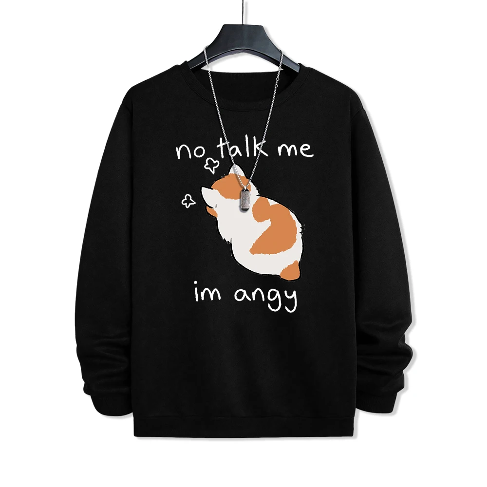 Свитшот мужской с принтом No Talk Me I Anay злой кот повседневный худи круглым вырезом