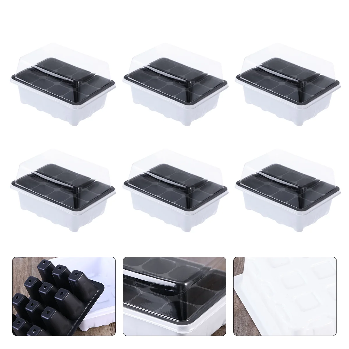 

Tray Trays Starter Growing Grow Potting Starting Box Garden Germination Kits Greenhouse Kit Brussel Station Sprout Vegetable