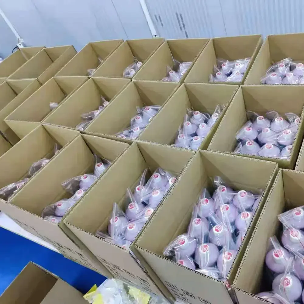 Программное обеспечение DTF XP15000 ET 8550 8500 Audley USB RIP Программный ключ Наборы ключей