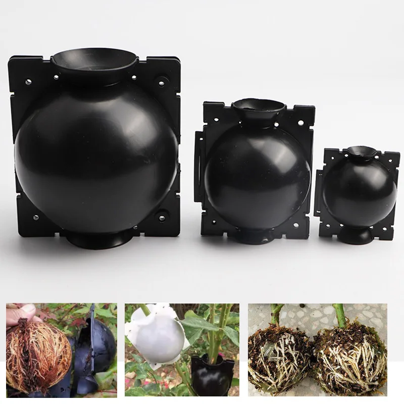 10/20pcs(5/8/12cm) Plant Grafting Rooting Growing Box Rooting Ball Breeding Case Plant Root Growing Box for Garden Graft Tools