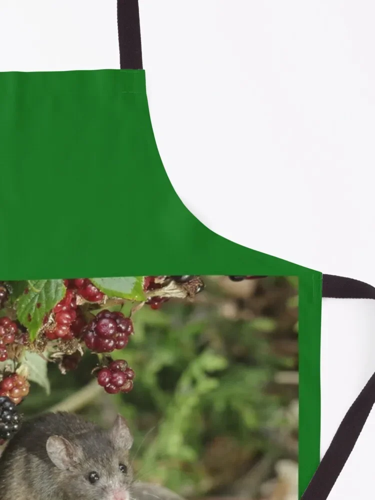 brambles and mouse Apron Manicurists Chef Uniform For Men christmas 2025