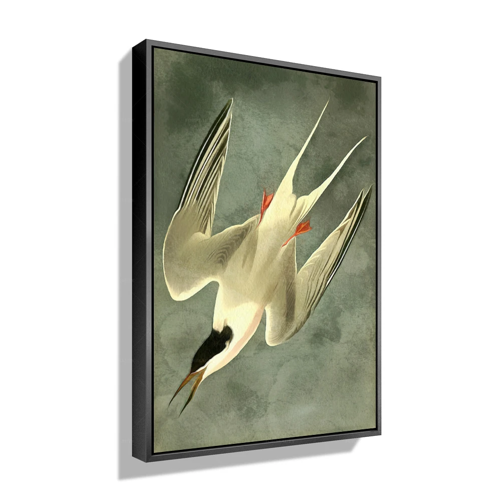 

Великолепные распылители Forbeauty с изображением птиц для украшения вашего пространства