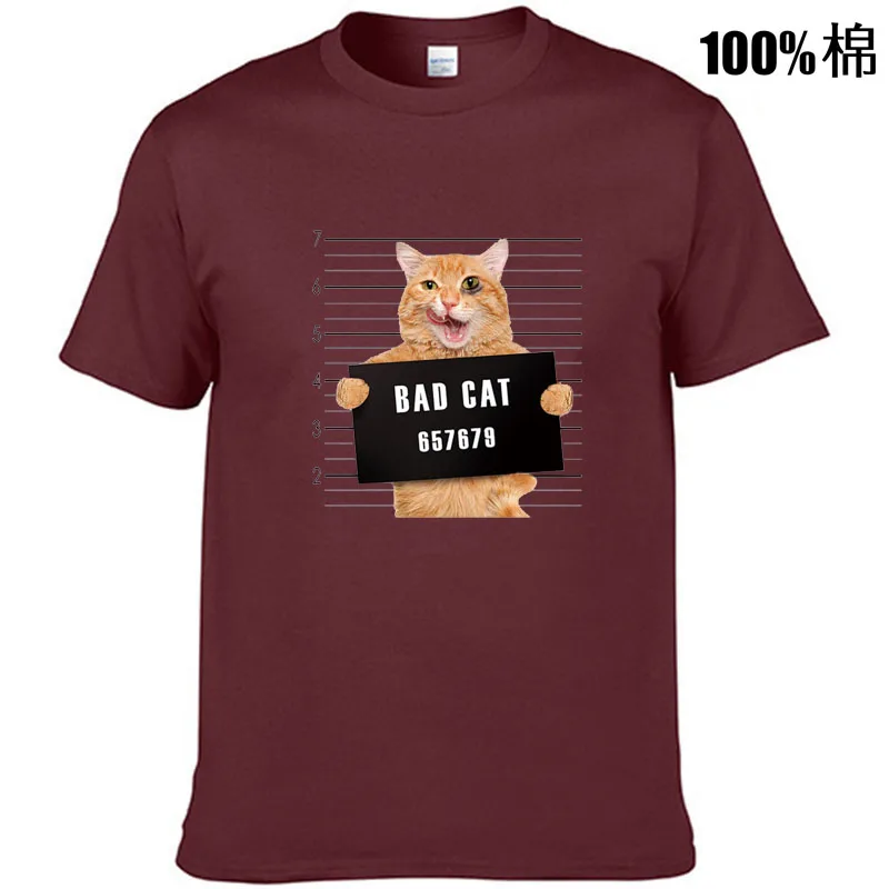 Men's high quality t-shirt 100% cotton Funny criminal cat pattern printed casual cool o-neck t shirt loose male tees tops
