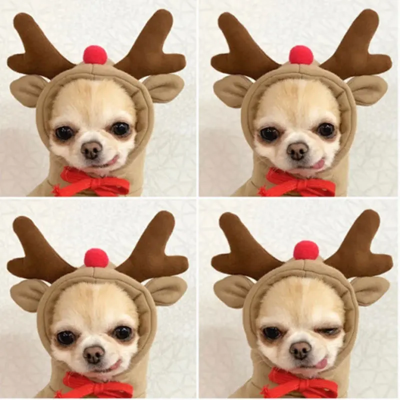 

Pet Dog Clothes for Dogs Hoodies Funny Fruit Dog Coat Puppy Pet Clothing for Dogs Costume Chihuahua Yorkshire Ropa Perro