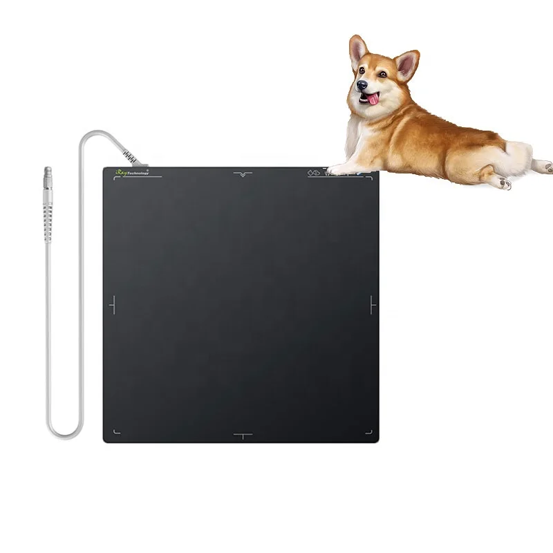 Ветеринарная цифровая медицинская рентгенографическая система с датчиком