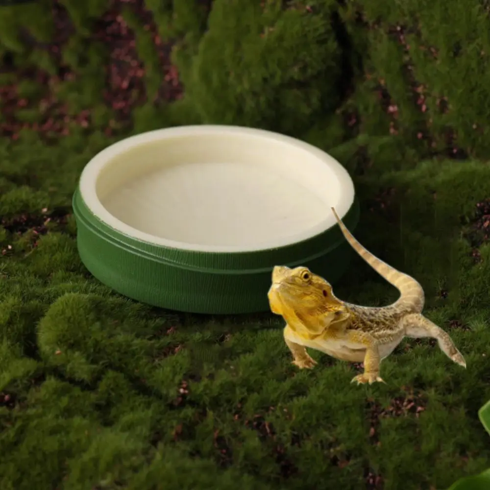 Бамбуковый поднос для кормления рептилий воды и еды мелких животных домашних