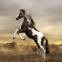 

Алмазная живопись 5d с лошадью, мозаика «сделай сам», полное квадратное и круглое сверло, алмазная вышивка Стразы