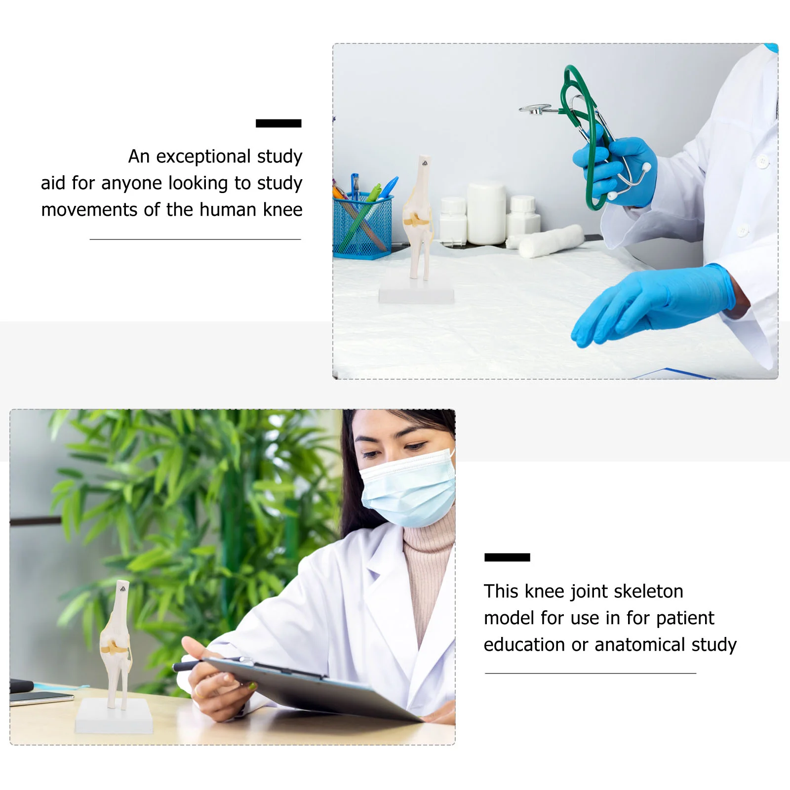 Рисунок 4 - Анатомическое пособие для реального человека