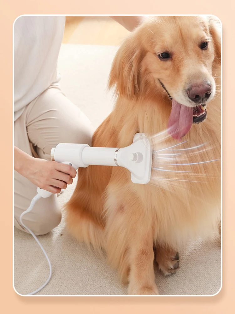 New Upgrade 2-in-1 Dog Hair Dryer Adjustable Speed Temperature Cat Dog Grooming hair dryer Comb Brush Low Noise Pet Products images - 6