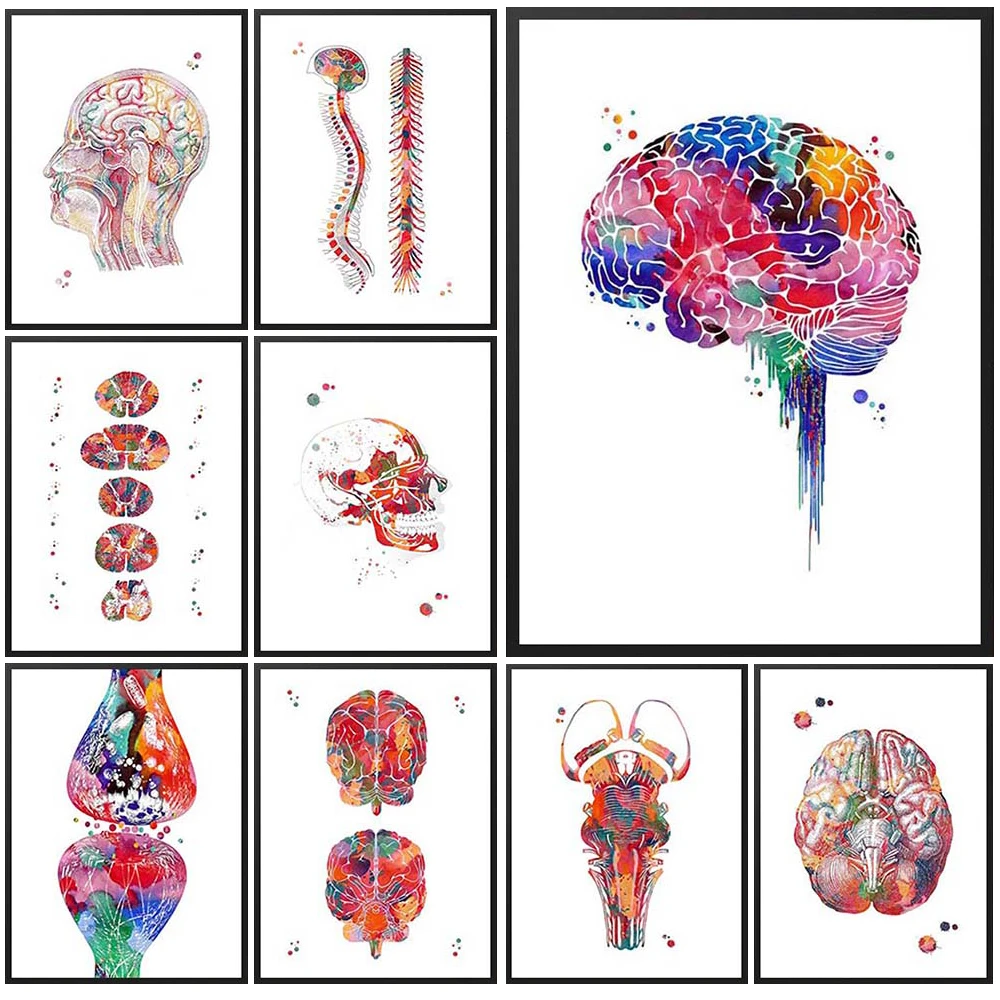 

Medicine Anatomy Brain Spine Posters Nordic Poster Wall Art Canvas Painting Home Decor Wall Pictures For Living Room Unframed