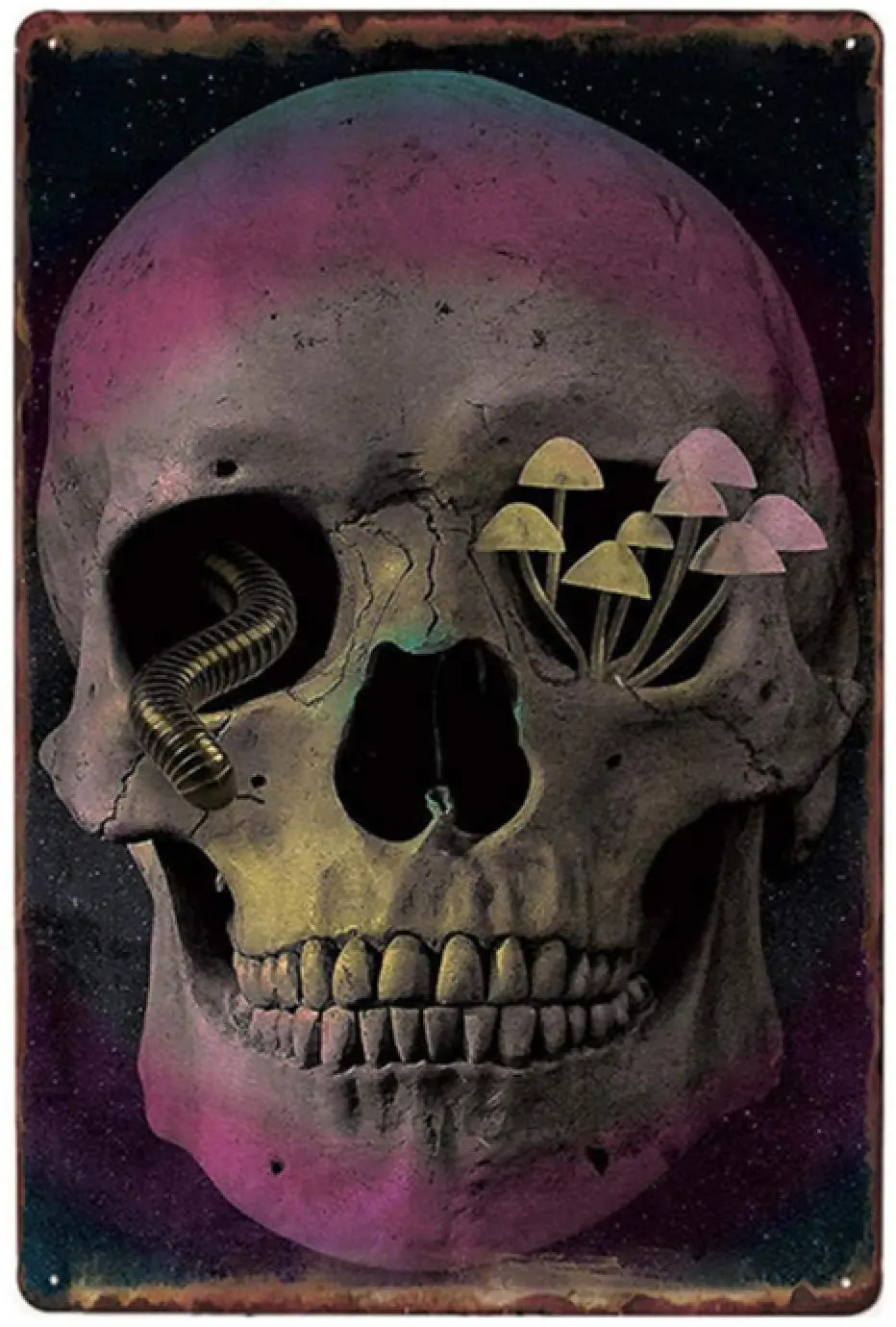 

Skull Tin Sign Art Graffiti Iron Paintings Plate Metal Sign Craft Pin Up Wall Decorative for Bar Cafe Bedroom 20x30cm