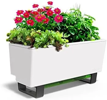 

Mini Bench Planter - 23.6" in Pot, UV Stable, Scalable, Indoor | Outdoor, Water Gauge | Stand for Kitchen Windowsill Gardeni