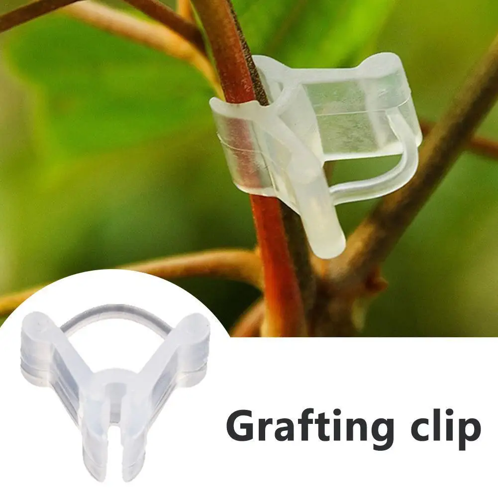 50Pcs Plants Graft Clips Plastic Garden Tools For Cucumber Eggplant Watermelon Round Mouth Flat Mouth Anti Fall Clamp Vegetable