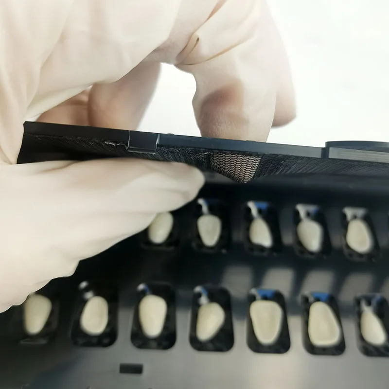 Фото 20 зубов Расположение зубов Стоматологическая наклейка Приемная коробка Зубной протез Инструмент Прямоугольная сетка Стоматология Полный ... №3