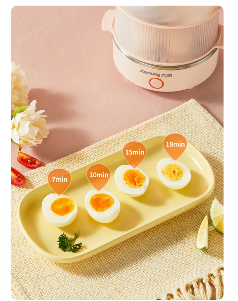 Электрическая яйцеварка для домашнего приготовления 220 В 2 слоя |