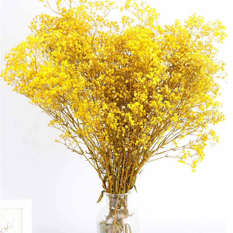 

400g/lot Natural Fresh Dried Preserved Flowers Gypsophila Paniculata Eternal Breath Bouquets Wedding Party Decoration Home Decor
