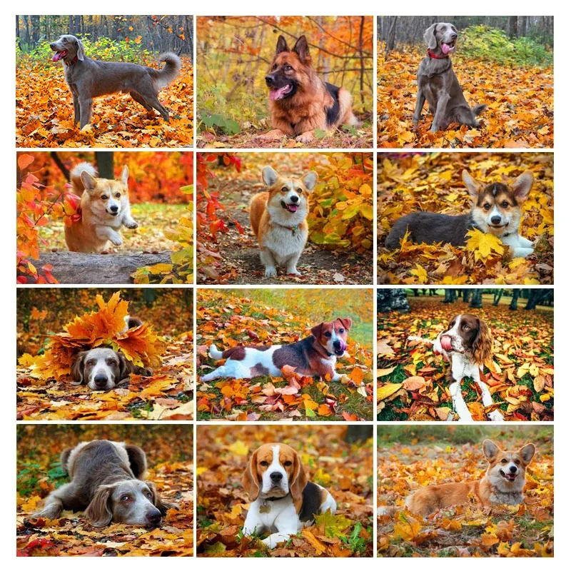 

Алмазная 5D Вышивка с изображением животных собаки кленового листа пейзажа, алмазная вышивка, полностью круглая квадратная алмазная живопи...