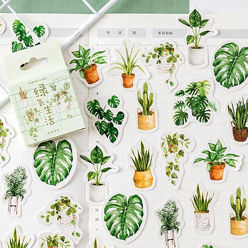 

Наклейки для скейтборда, компьютера, мятного цвета