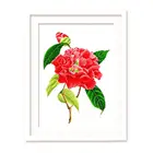 Романтический Нежный красный цветок с листьями одиночный розовый цветок штампованный Набор для вышивки крестом Набор для рукоделия