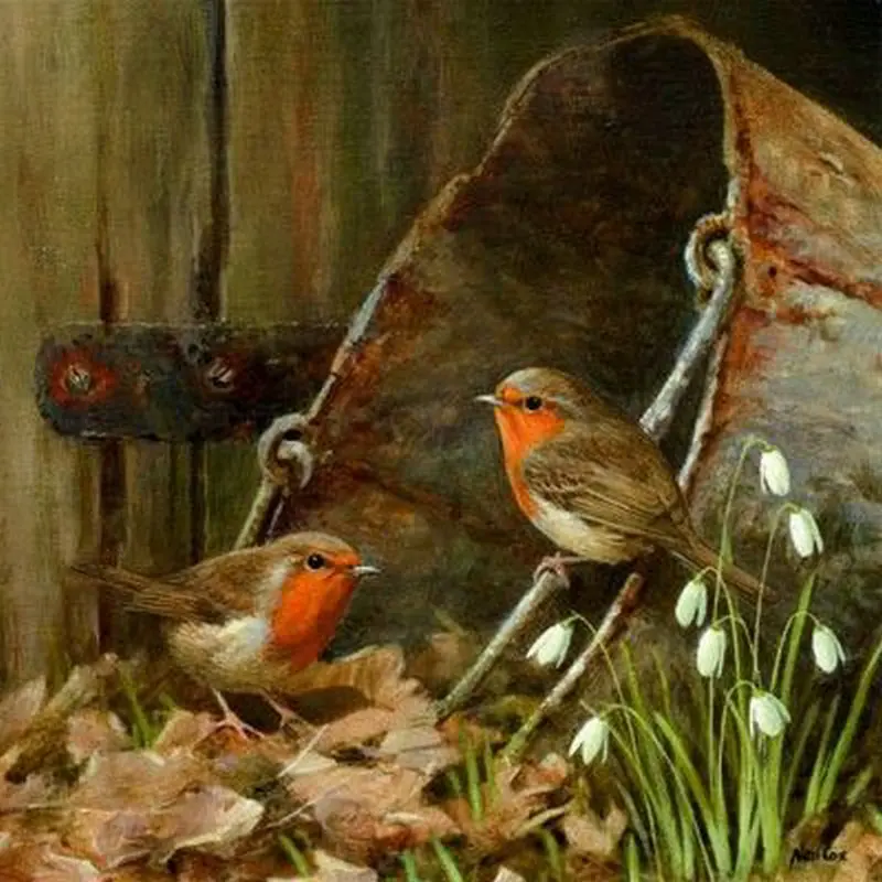 Алмазная живопись Sparrow Птица Животное | Дом и сад