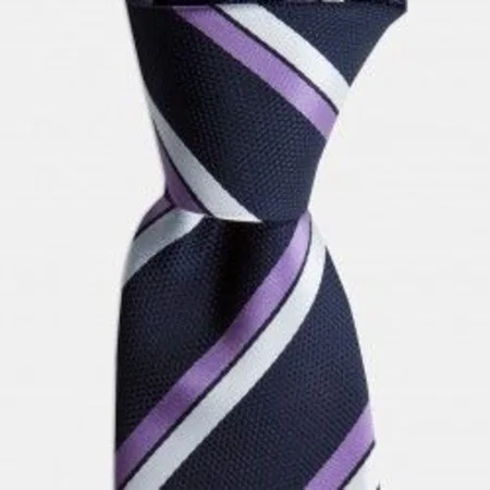 

Lilac Stripe Navy Blue Tie 67826435