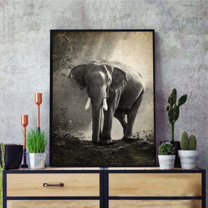 Постер на холсте для фотосъемки с изображением слона туканов джунглей животных