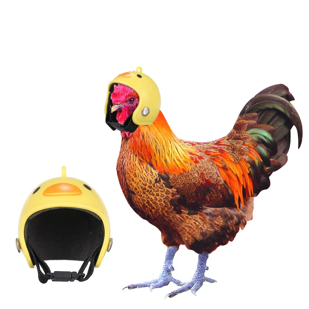 Забавный защитный шлем для курицы маленькая жесткая шапка питомца в форме птицы
