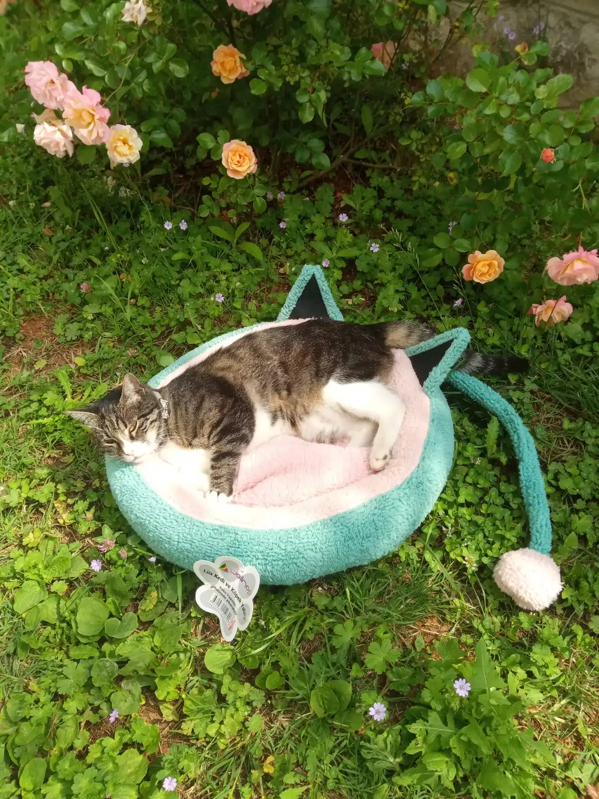 Online Camas Redondas Para Gatos Y Perros, Cesta De Felpa Suave Y Larga Para El Hogar, La Mejor Mascota, Productos Para Mascotas, Almohada, Cama Para Gatos, Esterilla Para Animales, Sofá Para Dormir