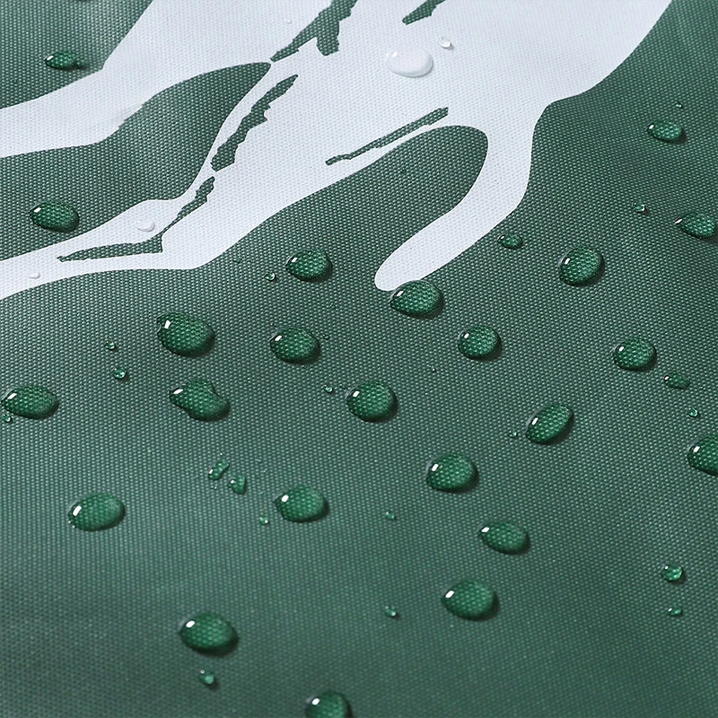 CAMEL новый складной пляжный коврик для пикника пляжное одеяло дорожное