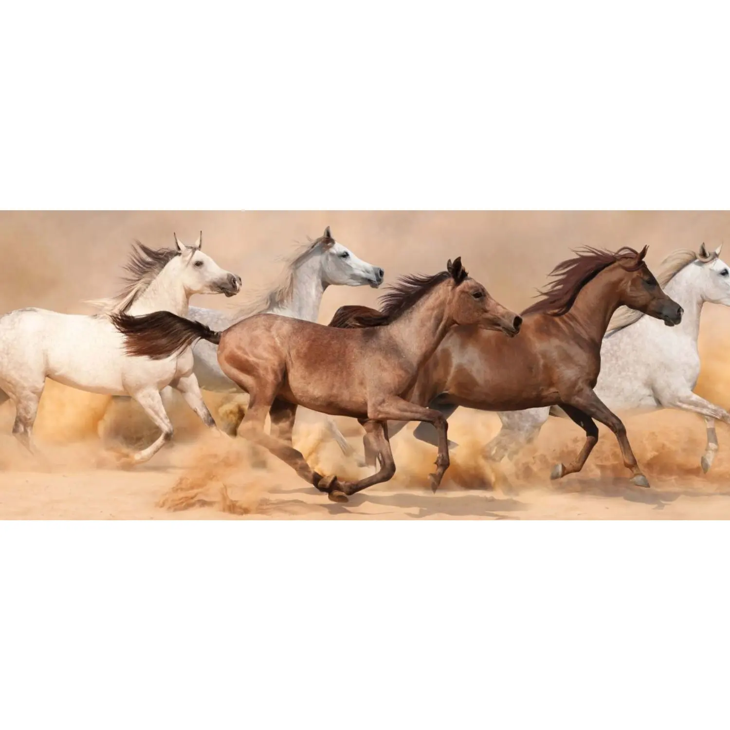 

Nova 40006-Sandblast Running Horses-1000 Piece Panoramic Jigsaw Puzzle-Desert Galloping Horse Herd