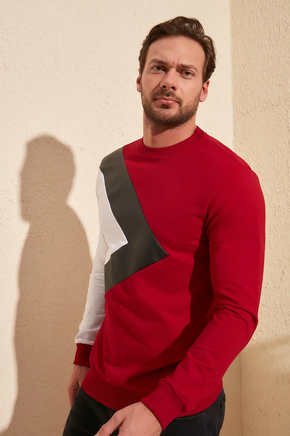 Модный кожаный свитшот с панелями TMNSS20SW0021|Мужские толстовки и свитшоты| |