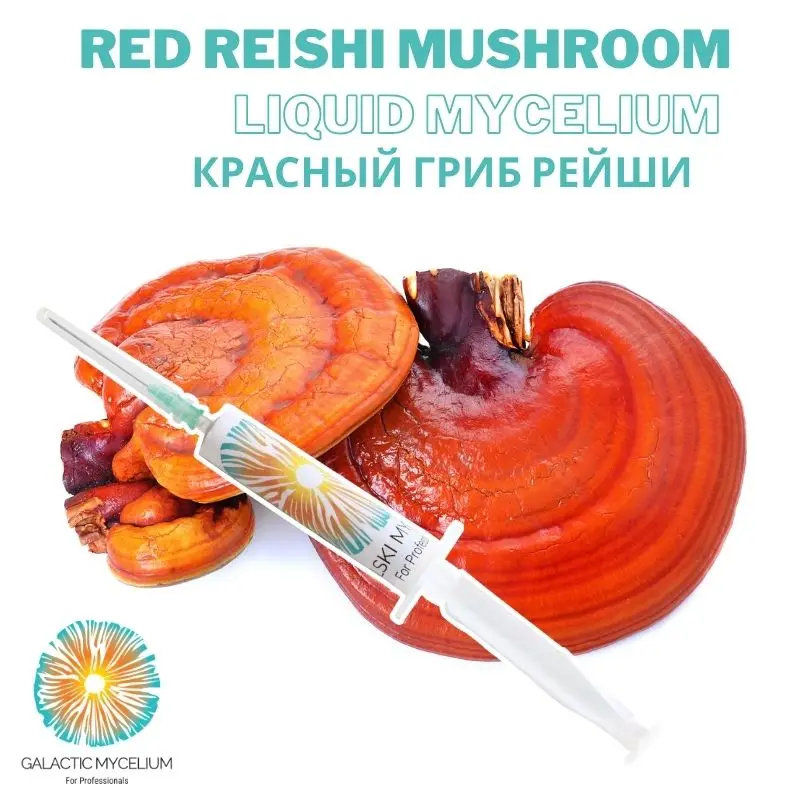 

Red Reishi Mushroom Liquid Culture 5 cc Liquid Syringes Ganoderma Lucidum Liquid Mycelium Medical Mushroom Syringes