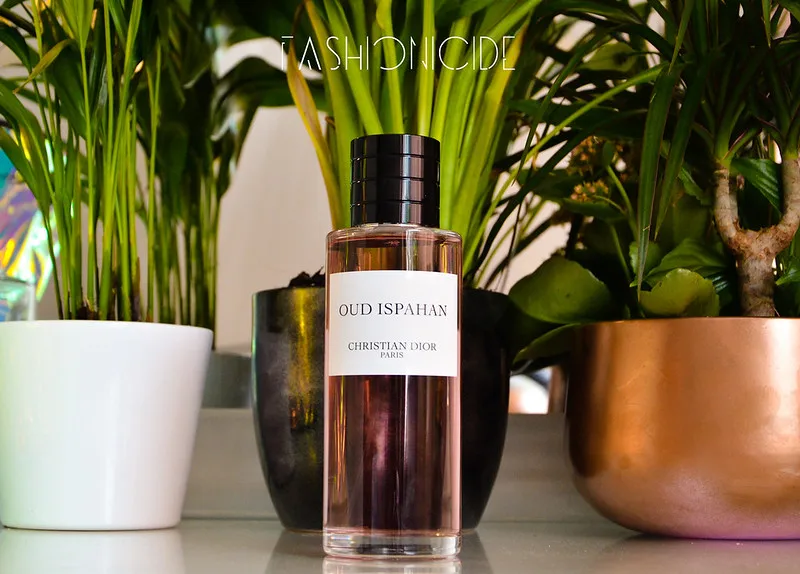 

New Brand Perfume Luxury 125 ml