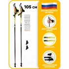 Палки для скандинавской ходьбы Finpole Breeze Carbon 60%, 105 см, скандинавские палки