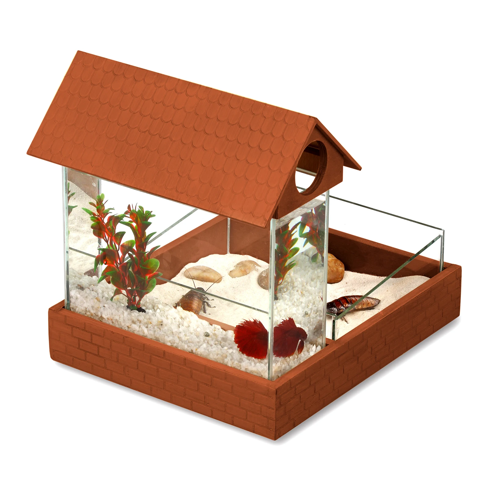 Аквариум для аквариумной рыбки Петушок 3 8 литра. Небольшой террариум. Цвет Орех. |