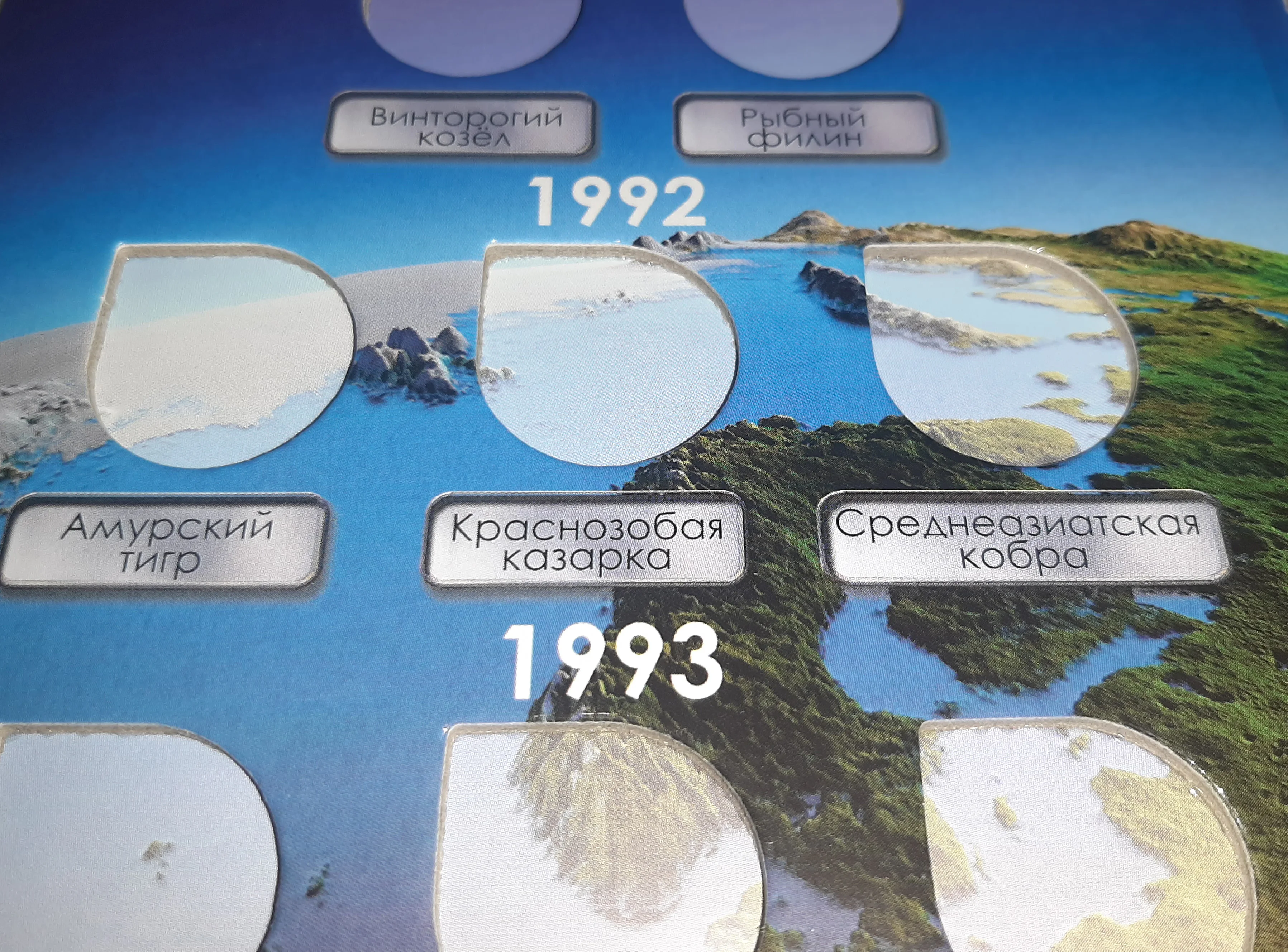 Альбом-планшет для монет серии "Красная книга" 1991-1994 годов - 5, 10 и 50 рублей - амурский тигр, медведь, аист, тетерев и зубр.