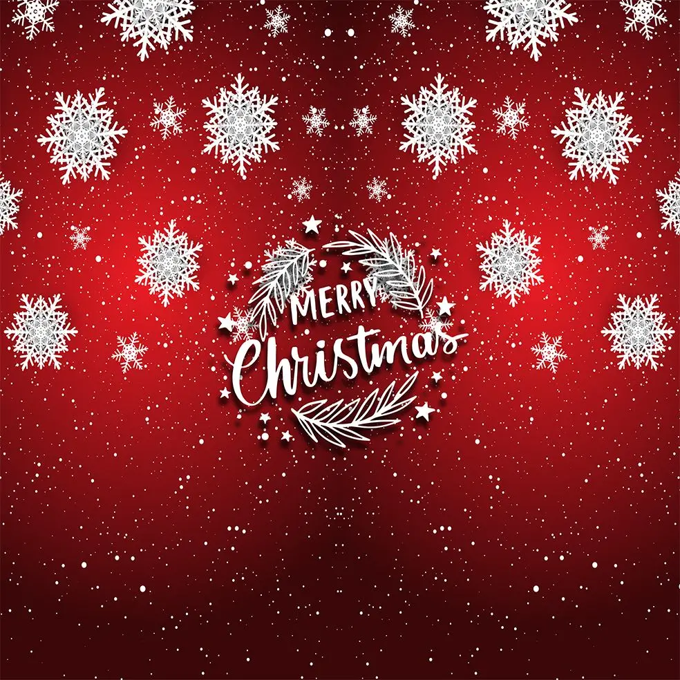 

Curtain Snowflakes Pattern on Snowy Night Background New Year Eve Theme Decorating Art Printed