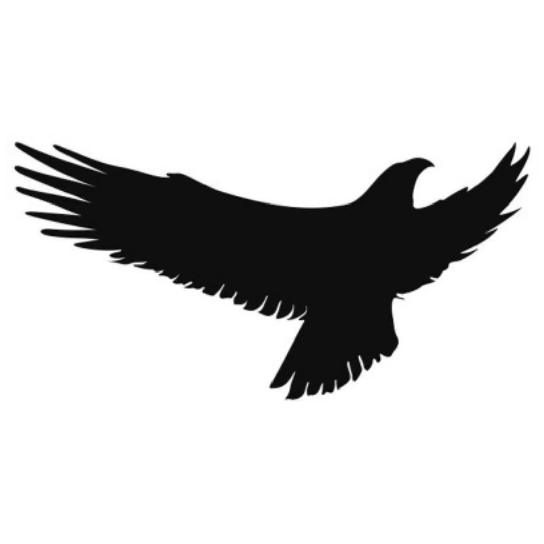 Наклейка для отпугивания птиц на окно &quotЯстреб&quot