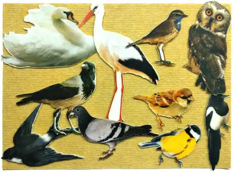 "Птицы": игра развивающая для детей старше 3-х лет из фетра (игровое поле, фигурки, 16 деталей)+Мир птиц в заданиях и играх: из