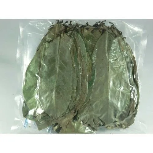 Цейлонские сушеные листья соусника 100% органический кислый чай гуанабана