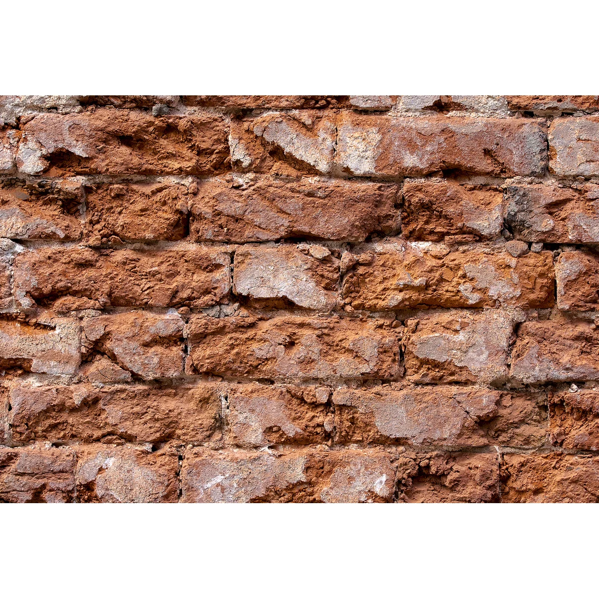 Photophone blimeless Stone 47x32 cm Polypropylene |