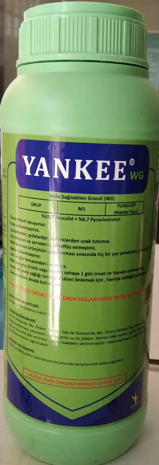 

YANKEE WG WG 500 Gr.(Signum Muhadili)