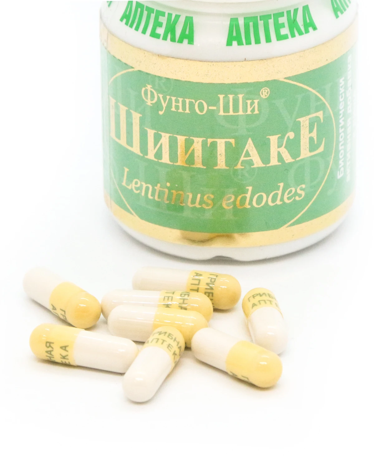 Натуральный грибной препарат ШИИТАКЕ при заболеваниях ЖКТ печени сердца и