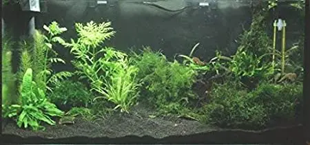 Песчаная почва для аквариума черного цвета 950-1000 г | Дом и сад