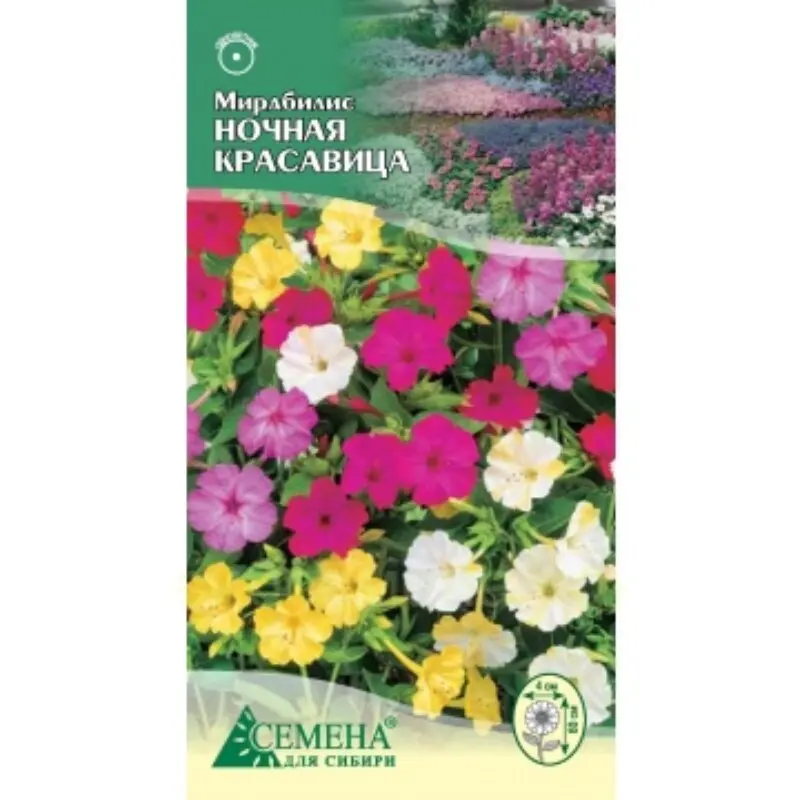 Мирабилис Ночная Красавица 1г СдС Семена для Сибири Mirabilis night beauty | Дом и сад