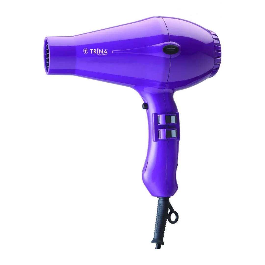 

Professional Hair Dryportable anion hair dryer Nanoe water ion hair care professional quick dry 2200W travel foldable hair