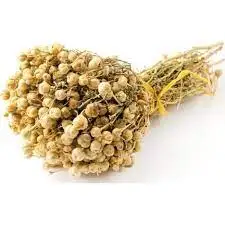 

Turkish High quality premıum Peganum harmala , harmal 1-2-3 bunch free shipping